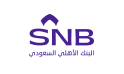 Partner - SNB Logo